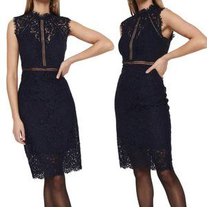 Bardot Navy Lace Illusion Dress